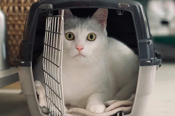 Office_shifting_services_in_UAE